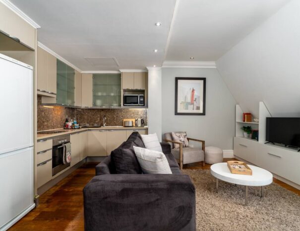 34thSouth CBD apartment_open plan